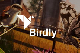 Birdly - VR project