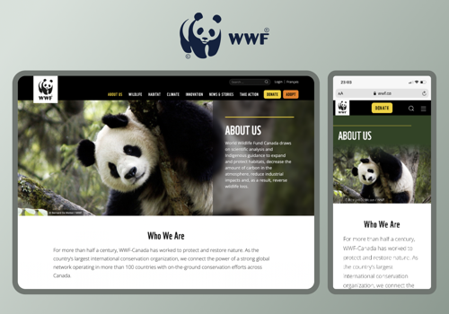 World Wildlife Fund Website Revamp