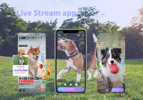 Wancoinz - Livestream pet