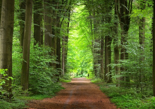 Platform Linking to Mental Health Professionals