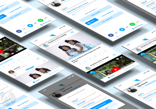 Government elections campaign system