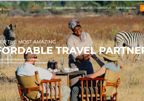 Web Design for AfrikanSafaris