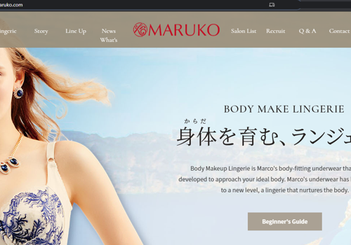 Online Payment system