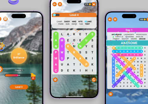 WORDS SEARCH: WORD PUZZLE GAME