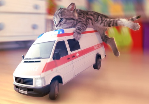 Mobile App Development for Little Kitten