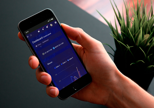 Cryptocurrency Exchange Services