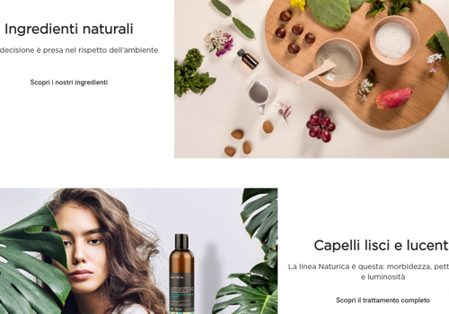 Rica Web Development