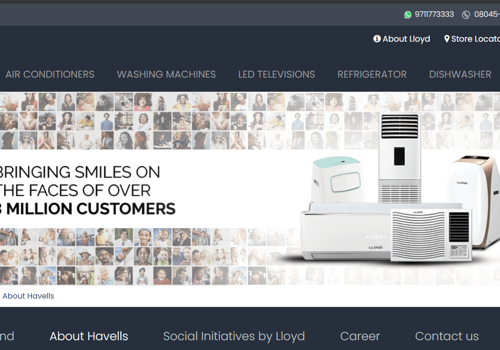 Lloyds Website Development