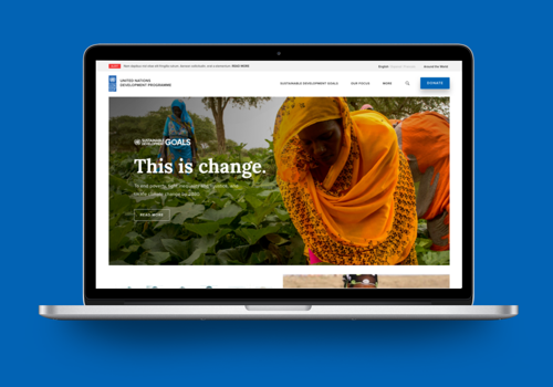 Web Design for United Nations Development Programme