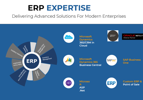 ERP Solution Integration and Consulting