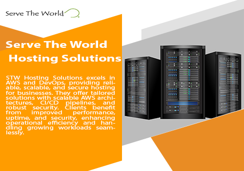 Serve The World Hosting Solutions