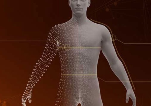 Fit3d - Used by EQUINOX (The new standard for monitoring progress) - Computer Vision