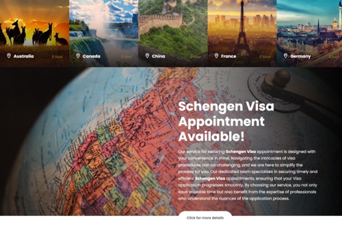 Visa Service Website