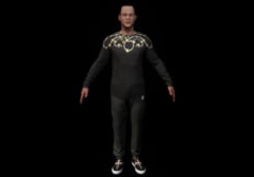 Visual recognition system