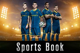 Online Sportsbook Software Provider | Online Sportsbook Software