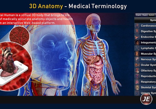 3D Anatomy using Microsoft Hololens