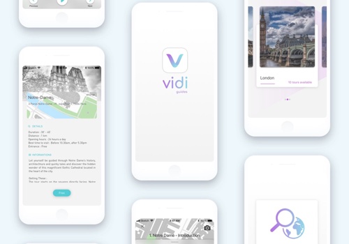Vidi guides
