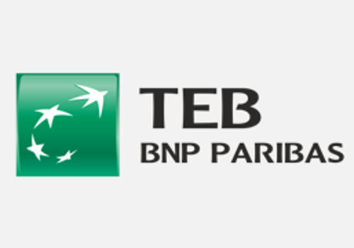 BNP Paribas - TEB Investment Project