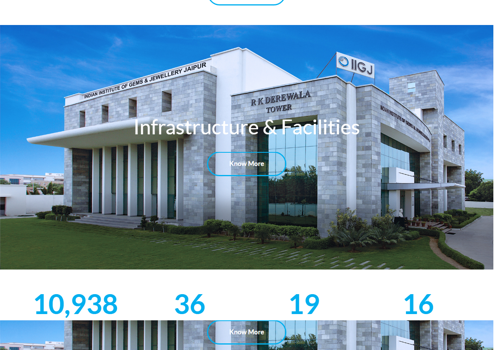 Indian Institute of Gems and Jewellery Jaipur