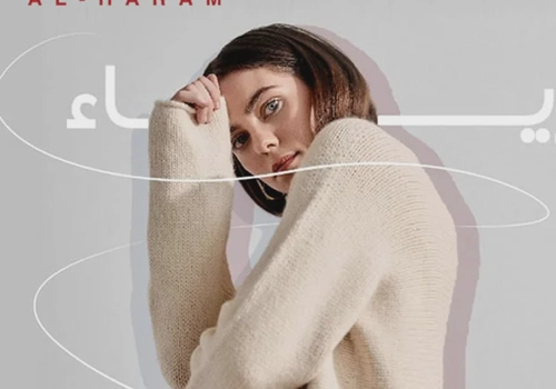 Multi Language Magento Online Store