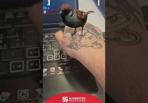 AR for tattoos and stickers