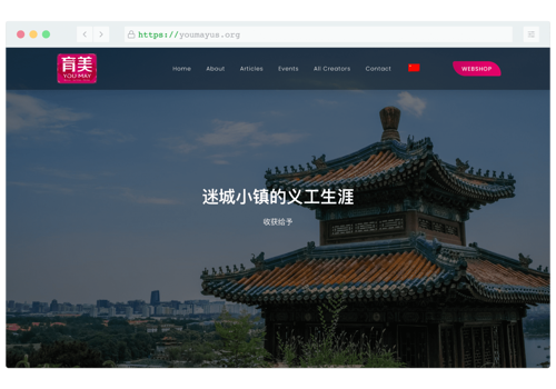 Website Redesign & E-Commerce