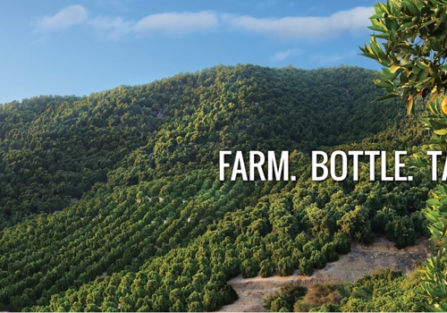 Website for Perricone Farms