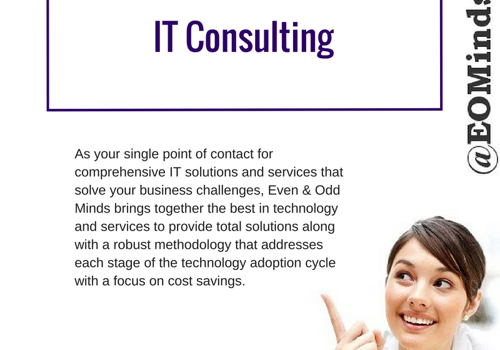 IT Consulting Services