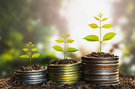 WEALTH OF INFORMATION ABOUT MIDDLE EASTERN FINANCIAL MARKET