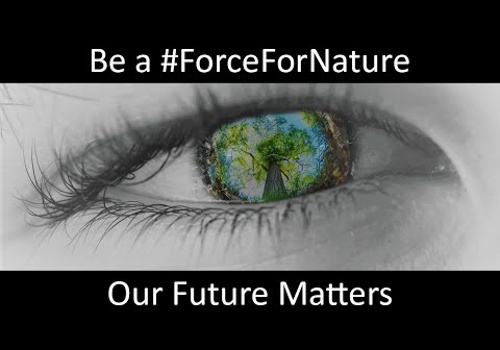 Urging climate action with the Tree Council