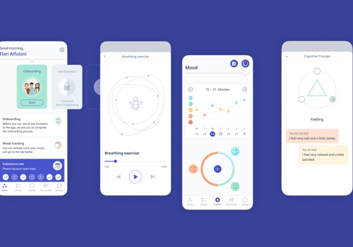 DIRECT - Professional psychological support on the