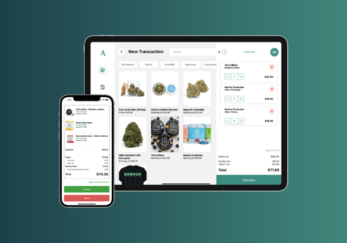 Artis IQ: Custom POS Complete Commerce System