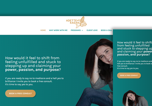 Client Website for Adette Kagan