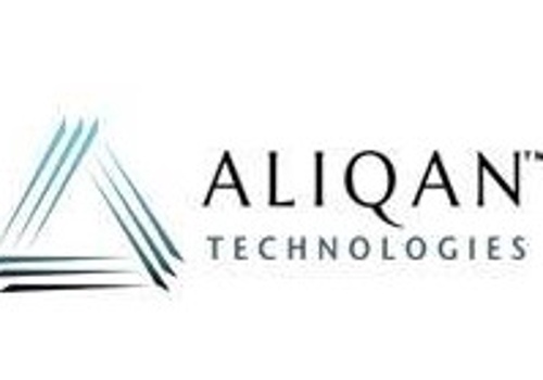 Dedicated Vue.Js Developer (Remote)