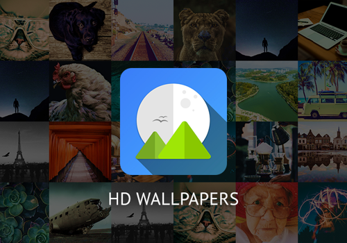 Wallpapers and Backgrounds HD