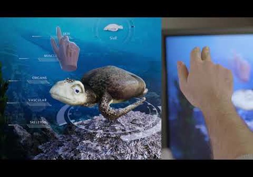 Interactive Aquarium