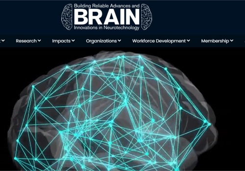 https://nsfbrain.org/