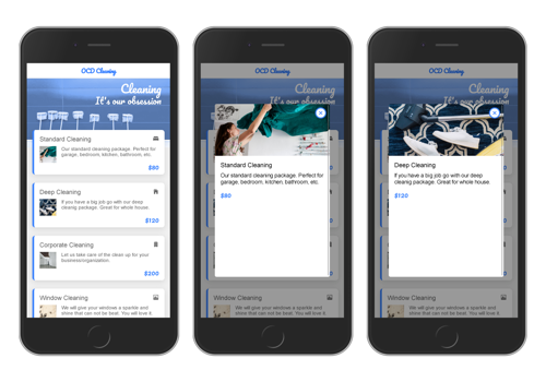 Cleaning Service App Development