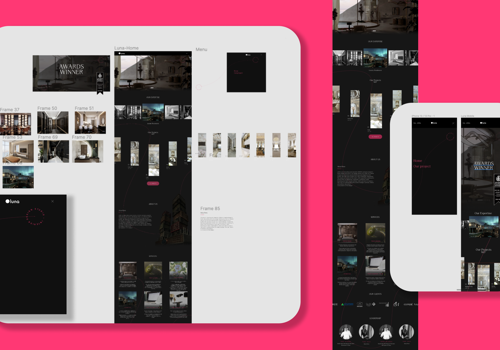 Costume Website design / development
