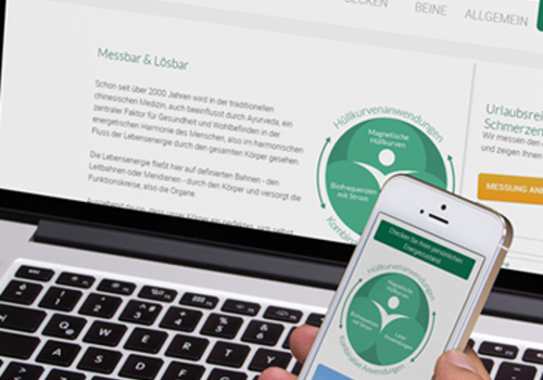 sanza.eu --website for a medical therapy system