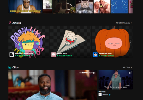 Giphy wordpress plugin development