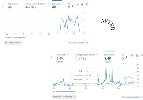 Monthly Basis- SEO service to increase traffic