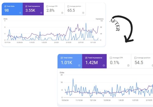 Monthly Basis- SEO service