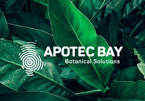 Apotec Bay Digital Marketing