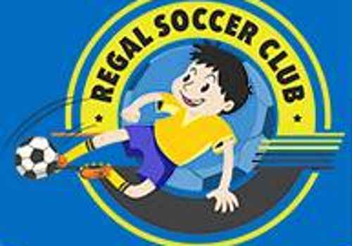 Website design & development