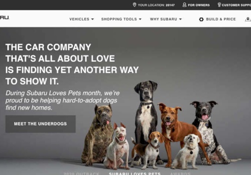 Key and critical website apps