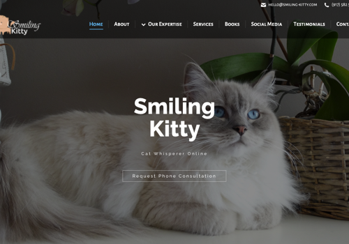 Web Design & Development for Smiling Kitty