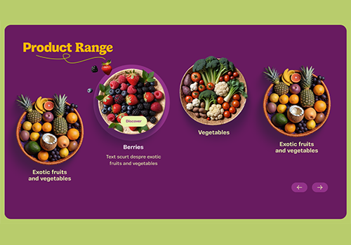 Select Fruits website design & development