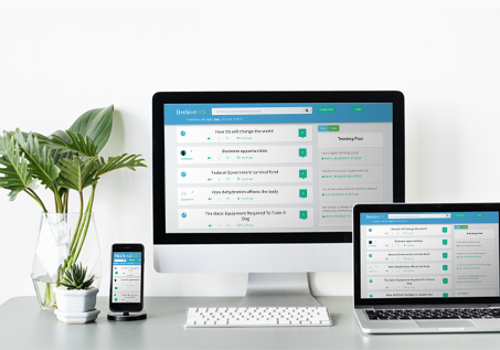 Reponsive web design