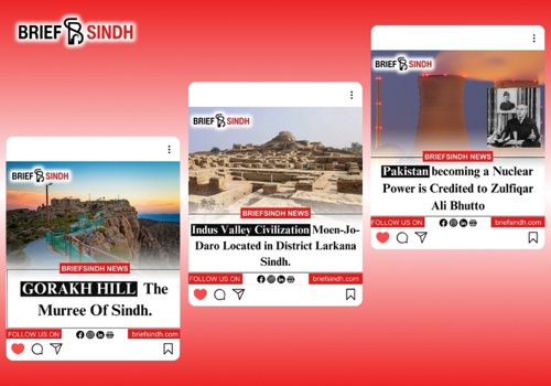 Website development and Web consultation